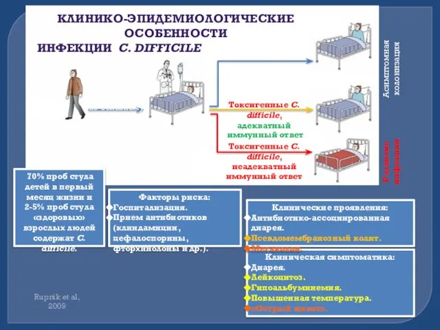 КЛИНИКО-ЭПИДЕМИОЛОГИЧЕСКИЕ ОСОБЕННОСТИ ИНФЕКЦИИ C. DIFFICILE Rupnik et al, 2009 70% проб