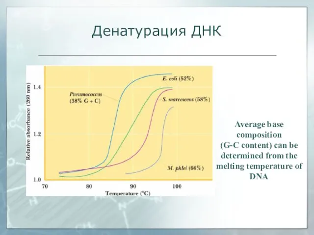 Денатурация ДНК Average base composition (G-C content) can be determined from the melting temperature of DNA