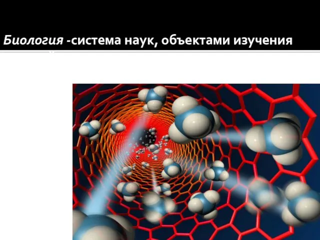 Биология -система наук, объектами изучения которой являются живые существа и их взаимодействие с окружающей средой.