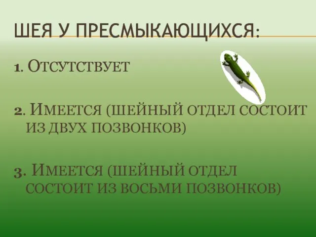 ШЕЯ У ПРЕСМЫКАЮЩИХСЯ: 1. ОТСУТСТВУЕТ 2. ИМЕЕТСЯ (ШЕЙНЫЙ ОТДЕЛ СОСТОИТ ИЗ