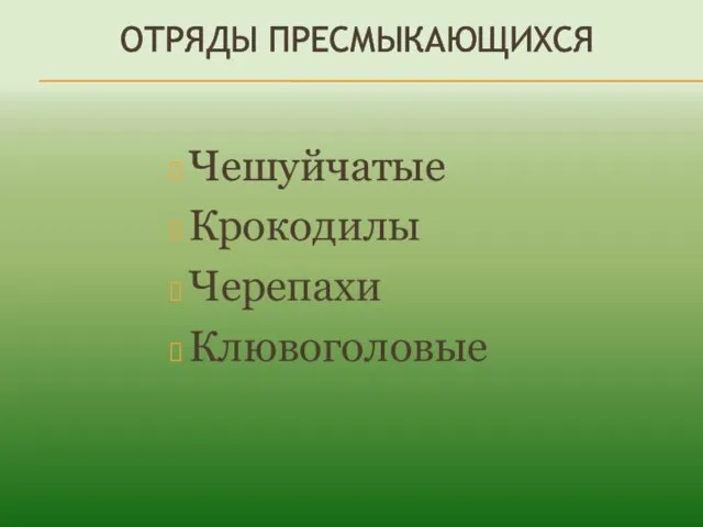 ОТРЯДЫ ПРЕСМЫКАЮЩИХСЯ Чешуйчатые Крокодилы Черепахи Клювоголовые