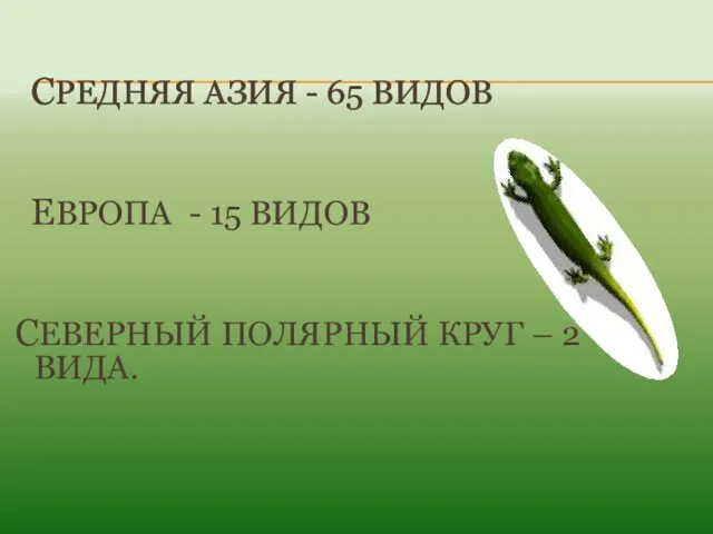 СРЕДНЯЯ АЗИЯ - 65 ВИДОВ ЕВРОПА - 15 ВИДОВ СЕВЕРНЫЙ ПОЛЯРНЫЙ КРУГ – 2 ВИДА.