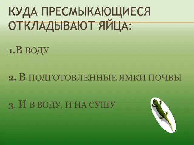 КУДА ПРЕСМЫКАЮЩИЕСЯ ОТКЛАДЫВАЮТ ЯЙЦА: 1.В ВОДУ 2. В ПОДГОТОВЛЕННЫЕ ЯМКИ ПОЧВЫ