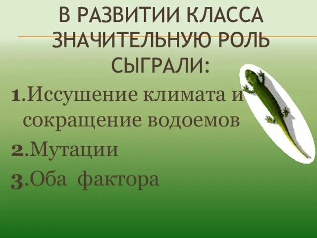 В РАЗВИТИИ КЛАССА ЗНАЧИТЕЛЬНУЮ РОЛЬ СЫГРАЛИ: 1.Иссушение климата и сокращение водоемов 2.Мутации 3.Оба фактора