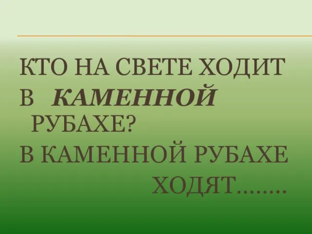 КТО НА СВЕТЕ ХОДИТ В КАМЕННОЙ РУБАХЕ? В КАМЕННОЙ РУБАХЕ ХОДЯТ……..