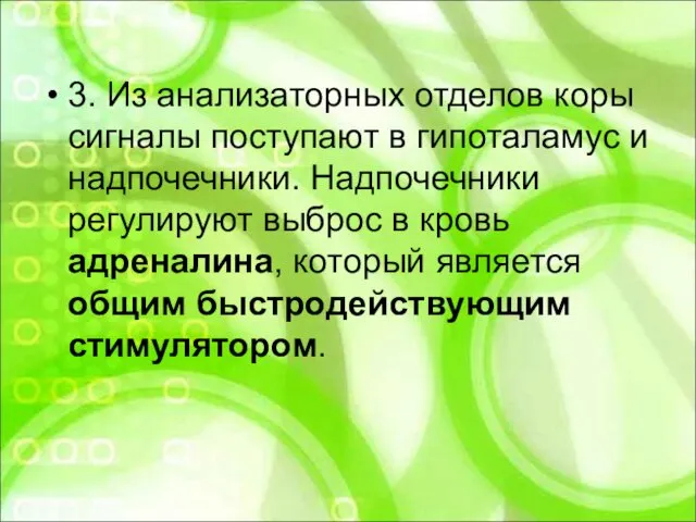 3. Из анализаторных отделов коры сигналы поступают в гипоталамус и надпочечники.