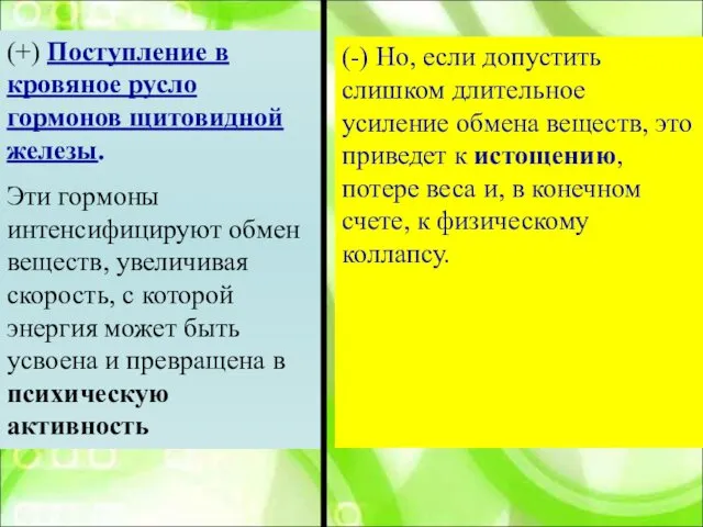 (+) Поступление в кровяное русло гормонов щитовидной железы. Эти гормоны интенсифицируют