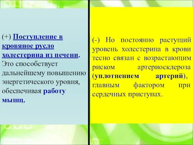 (+) Поступление в кровяное русло холестерина из печени. Это способствует дальнейшему