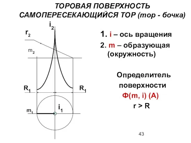 ТОРОВАЯ ПОВЕРХНОСТЬ САМОПЕРЕСЕКАЮЩИЙСЯ ТОР (тор - бочка) R1 r2 i2 m2