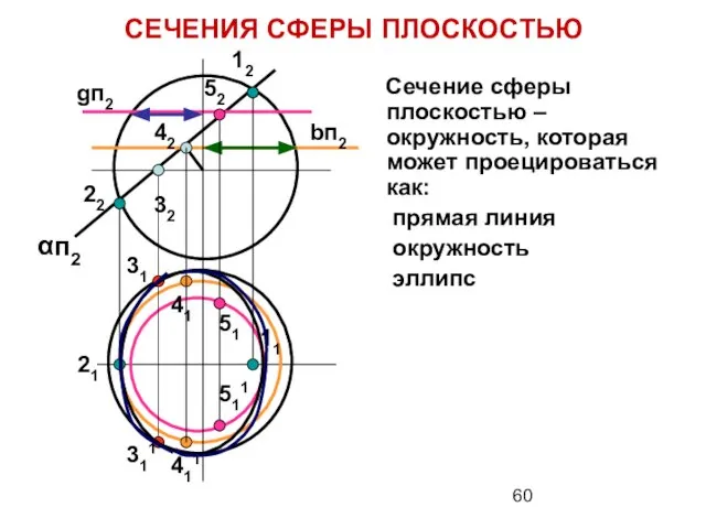 Сечение сферы плоскостью – окружность, которая может проецироваться как: прямая линия