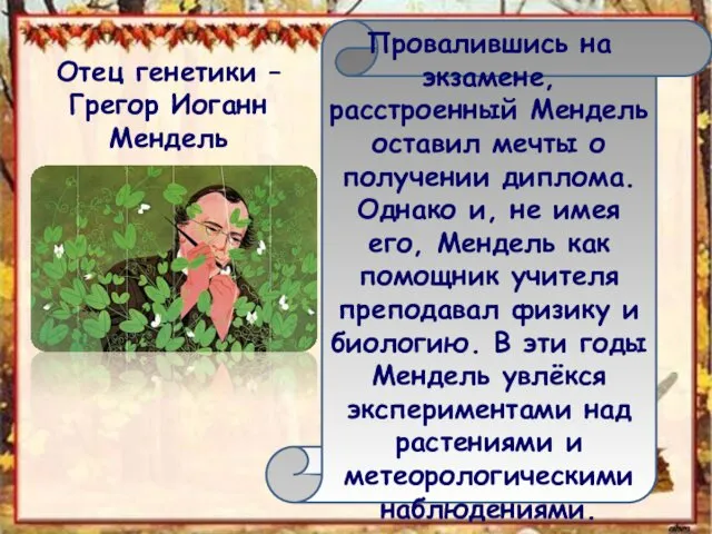 Отец генетики – Грегор Иоганн Мендель Провалившись на экзамене, расстроенный Мендель