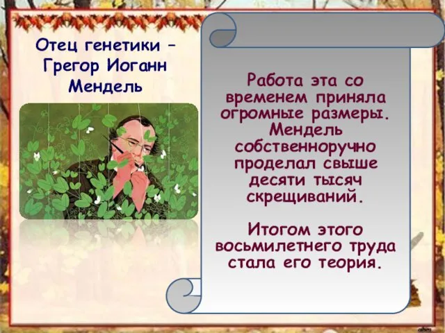 Отец генетики – Грегор Иоганн Мендель Работа эта со временем приняла