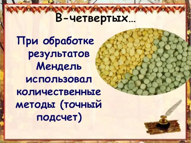 В-четвертых… При обработке результатов Мендель использовал количественные методы (точный подсчет)