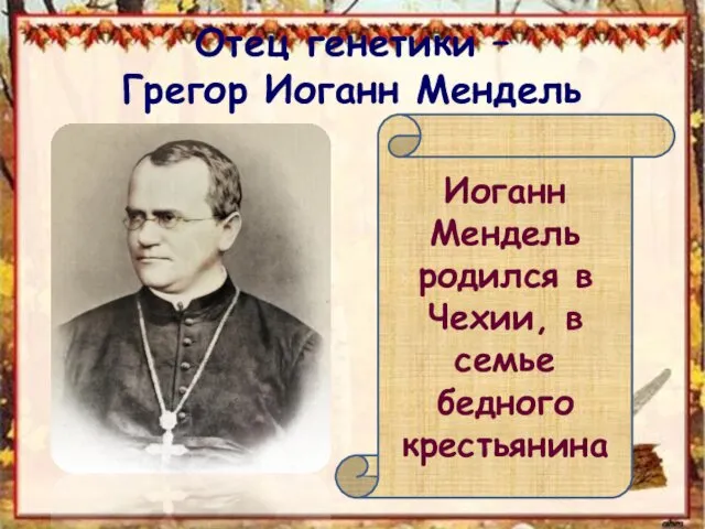 Отец генетики – Грегор Иоганн Мендель Иоганн Мендель родился в Чехии, в семье бедного крестьянина