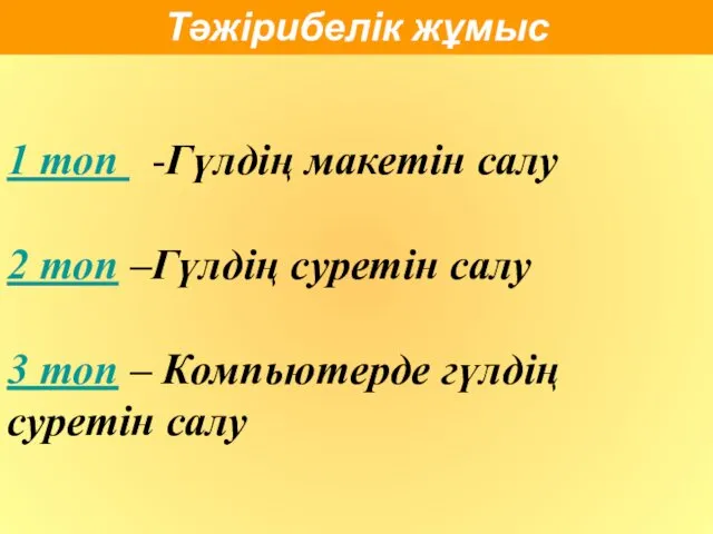 1 топ -Гүлдің макетін салу 2 топ –Гүлдің суретін салу 3