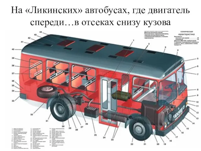 На «Ликинских» автобусах, где двигатель спереди…в отсеках снизу кузова