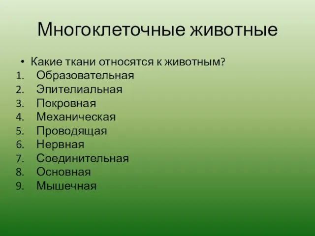 Многоклеточные животные Какие ткани относятся к животным? Образовательная Эпителиальная Покровная Механическая Проводящая Нервная Соединительная Основная Мышечная