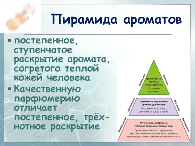 Пирамида ароматов постепенное, ступенчатое раскрытие аромата, согретого теплой кожей человека Качественную