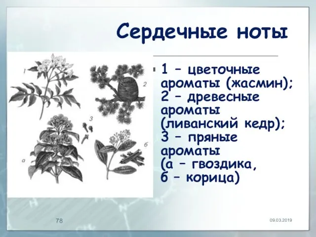 Сердечные ноты 1 – цветочные ароматы (жасмин); 2 – древесные ароматы