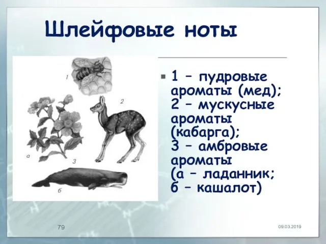 Шлейфовые ноты 1 – пудровые ароматы (мед); 2 – мускусные ароматы