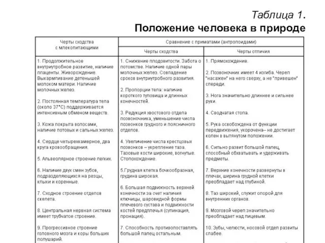 Таблица 1. Положение человека в природе