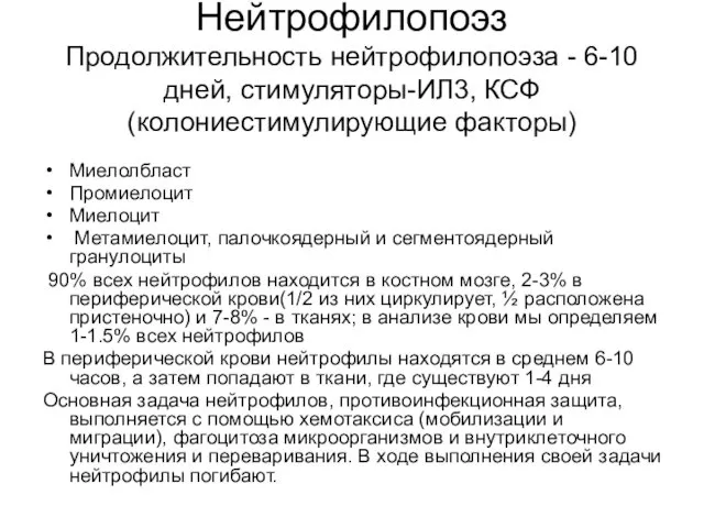 Нейтрофилопоэз Продолжительность нейтрофилопоэза - 6-10 дней, стимуляторы-ИЛ3, КСФ (колониестимулирующие факторы) Миелолбласт