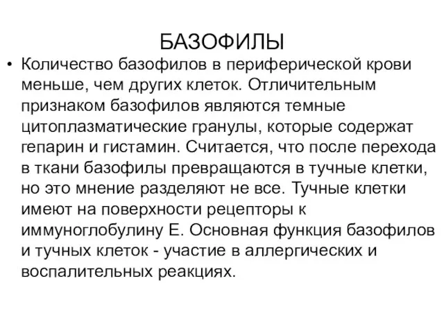 БАЗОФИЛЫ Количество базофилов в периферической крови меньше, чем других клеток. Отличительным