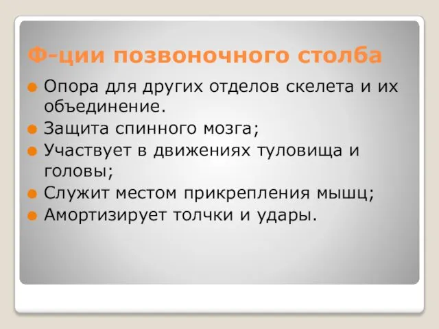 Ф-ции позвоночного столба Опора для других отделов скелета и их объединение.