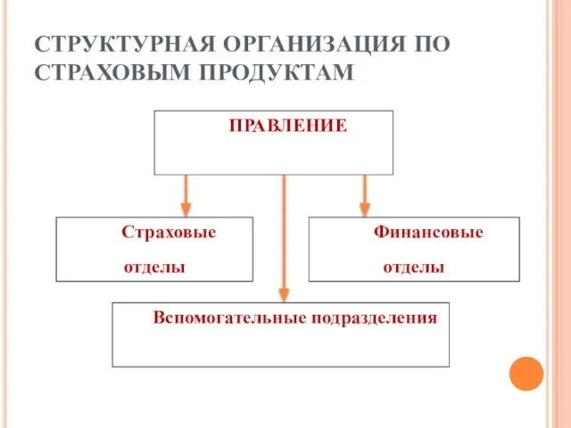 СТРУКТУРНАЯ ОРГАНИЗАЦИЯ ПО СТРАХОВЫМ ПРОДУКТАМ