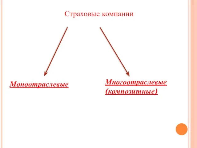 Страховые компании Моноотраслевые Многоотраслевые (композитные)