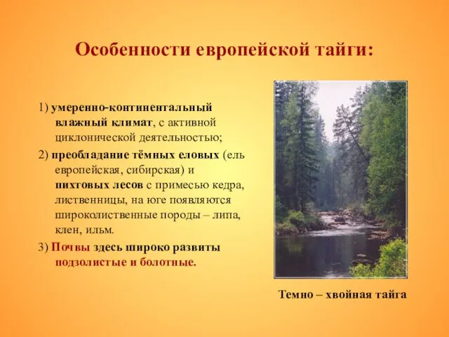 Особенности европейской тайги: 1) умеренно-континентальный влажный климат, с активной циклонической деятельностью;