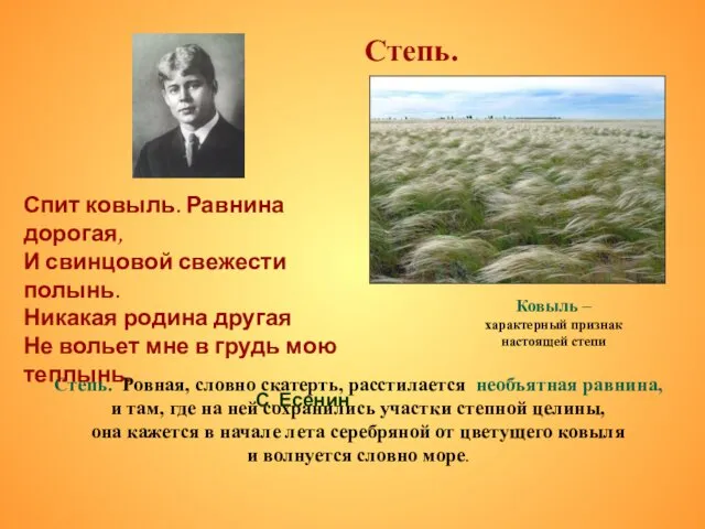 Степь. Степь. Ровная, словно скатерть, расстилается необъятная равнина, и там, где