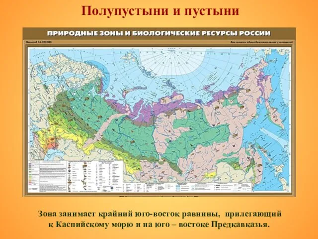 Зона занимает крайний юго-восток равнины, прилегающий к Каспийскому морю и на