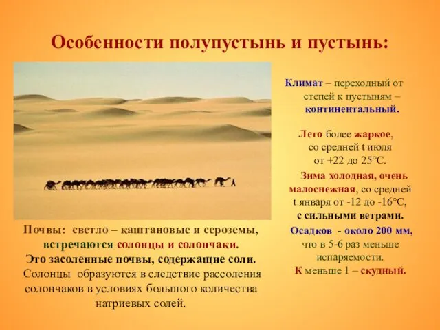 Особенности полупустынь и пустынь: Климат – переходный от степей к пустыням