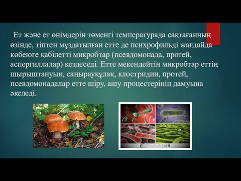 Ет және ет өнімдерін төменгі температурада сақтағанның өзінде, тіптен мұздатылған етте