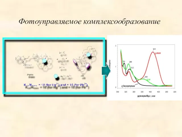 Фотоуправляемое комплексообразование