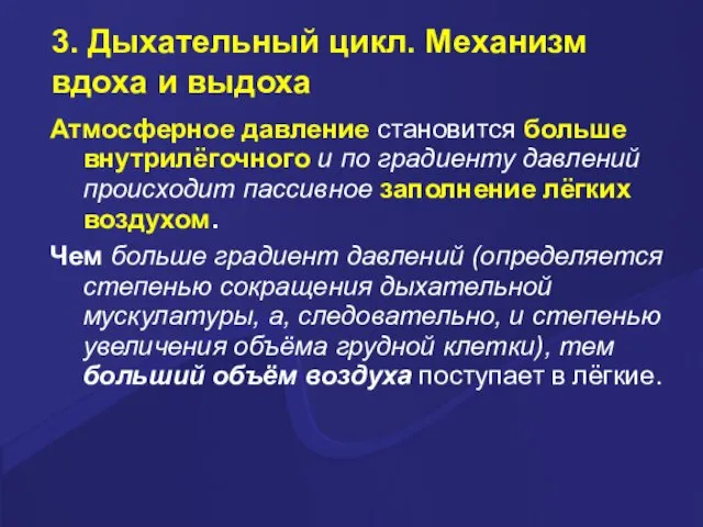 3. Дыхательный цикл. Механизм вдоха и выдоха Атмосферное давление становится больше