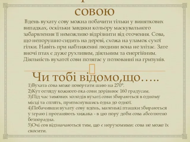 Спостереження за совою Чи тобі відомо,що….. Вдень вухату сову можна побачити