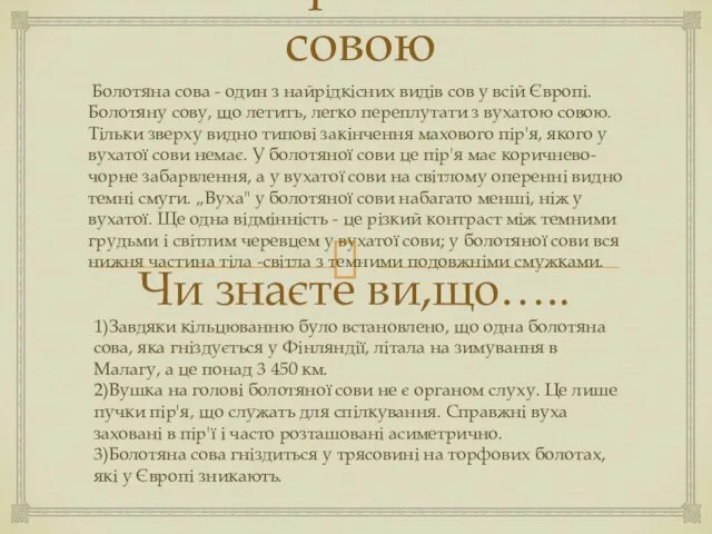 Спостереження за совою Чи знаєте ви,що….. Болотяна сова - один з