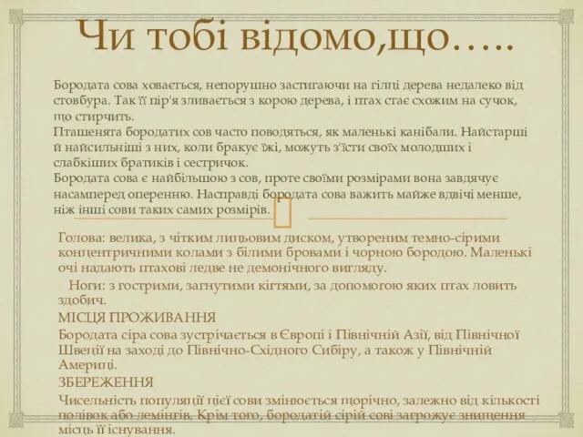 Чи тобі відомо,що….. Голова: велика, з чітким лицьовим диском, утвореним темно-сірими