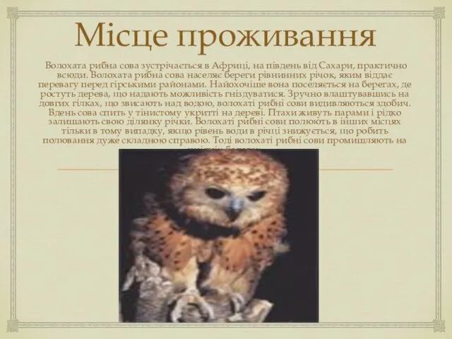 Місце проживання Волохата рибна сова зустрічається в Африці, на південь від