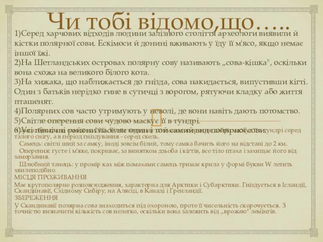 Чи тобі відомо,що….. Самка: більша за самця на 20%. Біле з