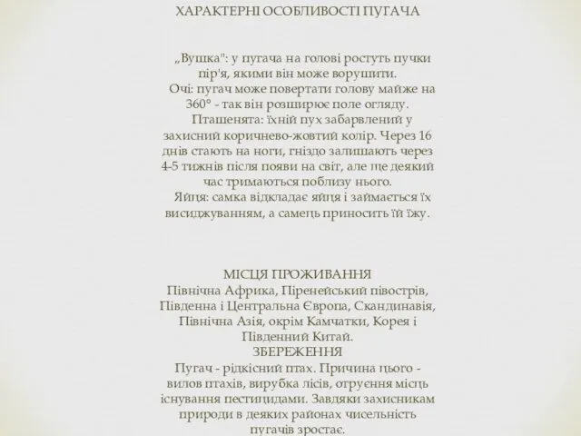 ХАРАКТЕРНІ ОСОБЛИВОСТІ ПУГАЧА „Вушка": у пугача на голові ростуть пучки пір'я,