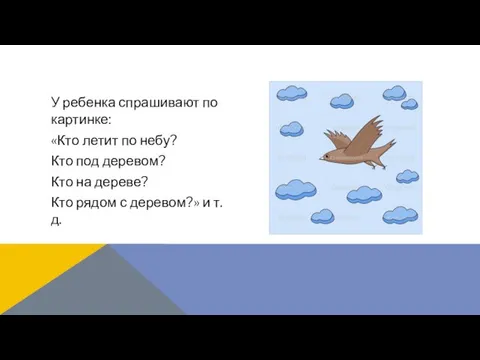 У ребенка спрашивают по картинке: «Кто летит по небу? Кто под