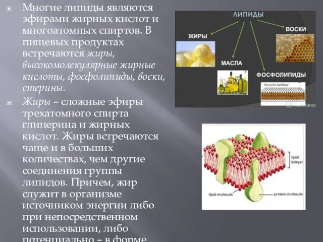 Многие липиды являются эфирами жирных кислот и многоатомных спиртов. В пищевых