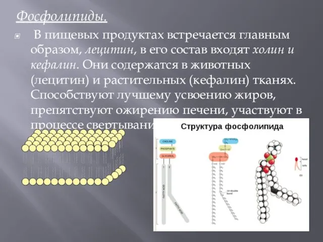 Фосфолипиды. В пищевых продуктах встречается главным образом, лецитин, в его состав