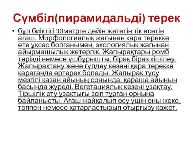 Сүмбіл(пирамидальді) терек бұл биіктігі 30метрге дейін жететін тік өсетін ағаш. Морфологиялық