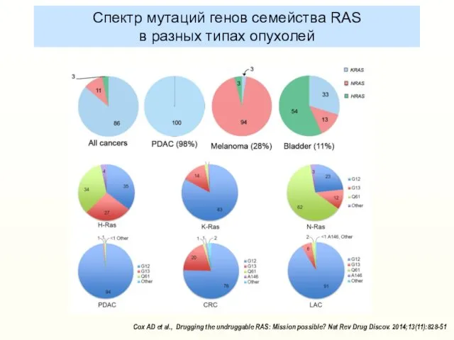 Спектр мутаций генов семейства RAS в разных типах опухолей Cox AD