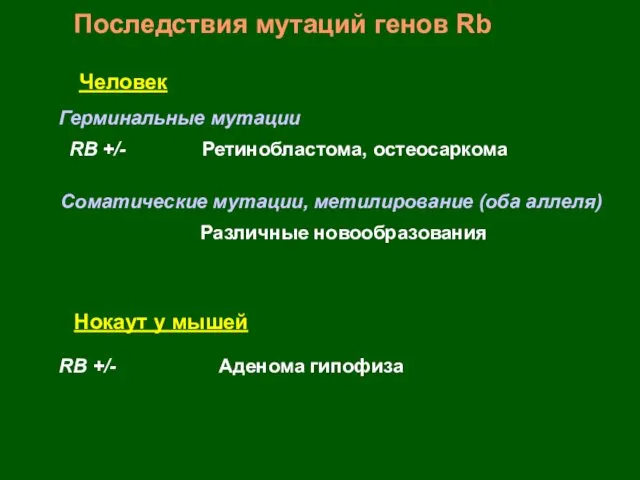 Последствия мутаций генов Rb Человек Герминальные мутации Соматические мутации, метилирование (оба