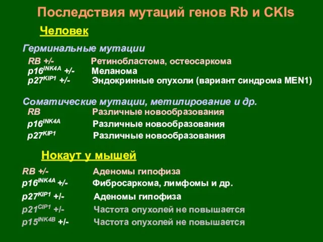 Последствия мутаций генов Rb и CKIs Человек Герминальные мутации Соматические мутации,